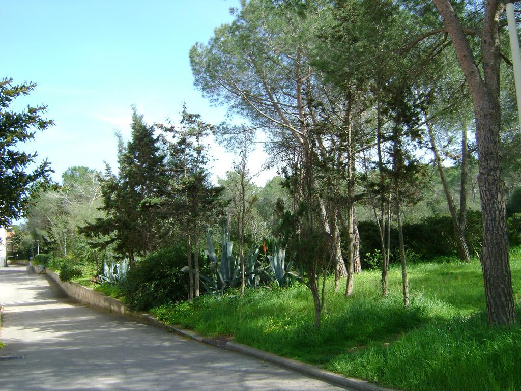 Appartamento Maraviglios Alghero Exterior foto